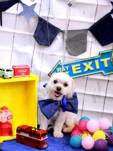 20230401むぎまるくん